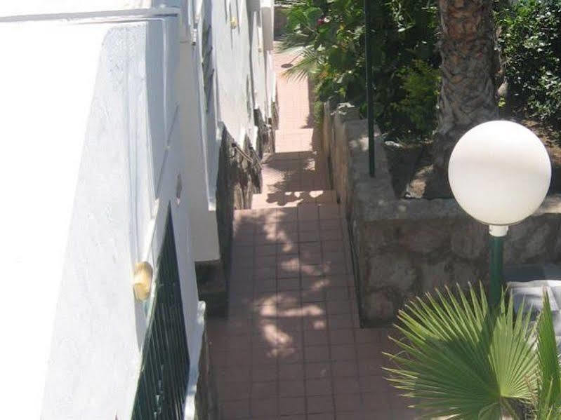 Apartamentos Laguna Puerto Rico  Esterno foto